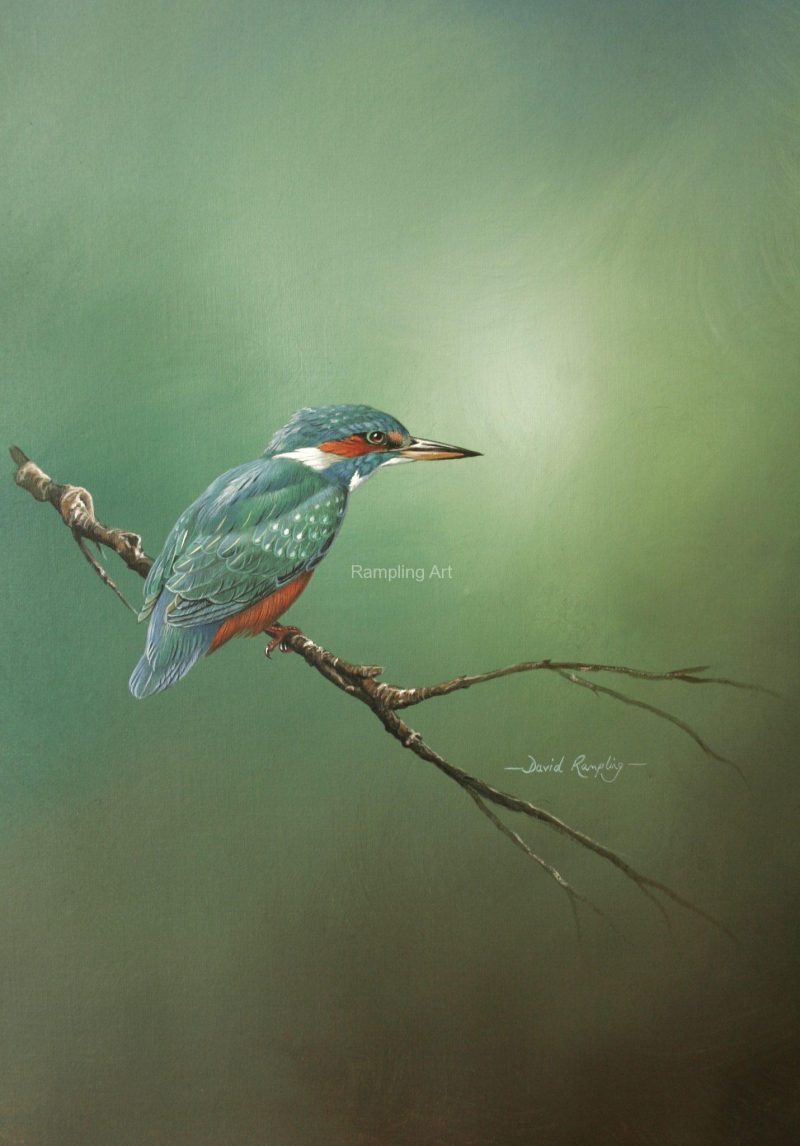 Kingfisher