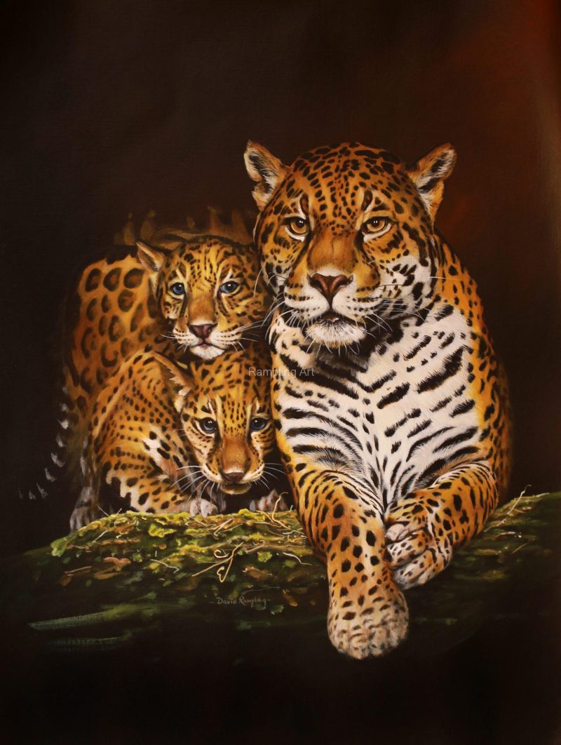 Jaguar and Cubs